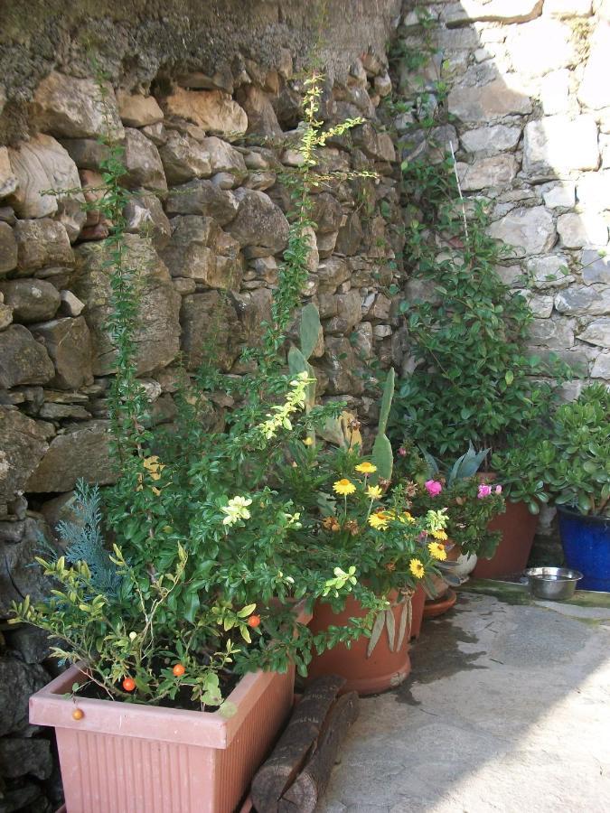Chezcatherine Villa Sarzana Exterior photo